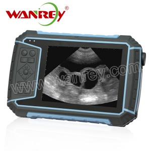 Waterproof Vet Ultrasound Scanner